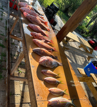 Reeling in memories on Naples waters